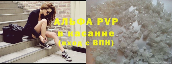 ПСИЛОЦИБИНОВЫЕ ГРИБЫ Арсеньев