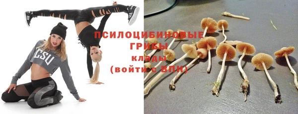 ПСИЛОЦИБИНОВЫЕ ГРИБЫ Арсеньев