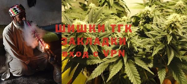 ГАЛЛЮЦИНОГЕННЫЕ ГРИБЫ Аркадак