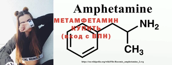 ГАЛЛЮЦИНОГЕННЫЕ ГРИБЫ Аркадак