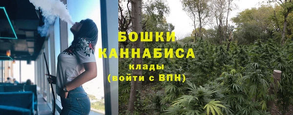 ПСИЛОЦИБИНОВЫЕ ГРИБЫ Арсеньев