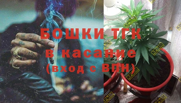 ПСИЛОЦИБИНОВЫЕ ГРИБЫ Арсеньев