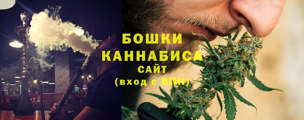 ГАЛЛЮЦИНОГЕННЫЕ ГРИБЫ Аркадак
