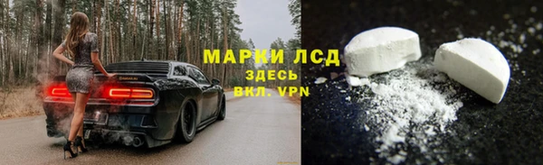 ГАЛЛЮЦИНОГЕННЫЕ ГРИБЫ Аркадак