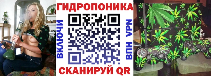хочу   Галич  блэк спрут сайт  Бошки Шишки гибрид 